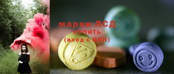 PSILOCYBIN Лабытнанги