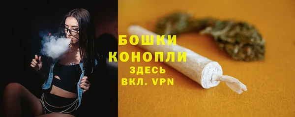 винт Лиски