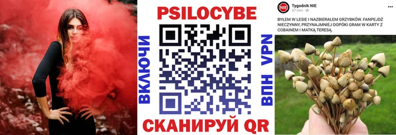 Галлюциногенные грибы мухоморы  Магас 